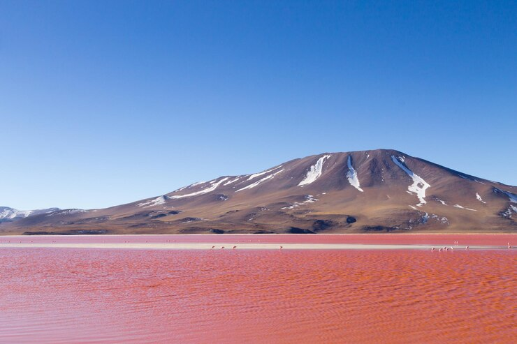 8 Remarkable Seas and Lakes on Earth to Learn About Seas, Lakes LearningMole Seas and Lakes