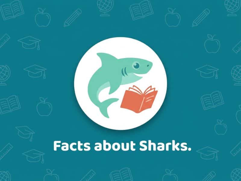 Facts about Sharks: A Complete Guide for UK Teachers and Parents