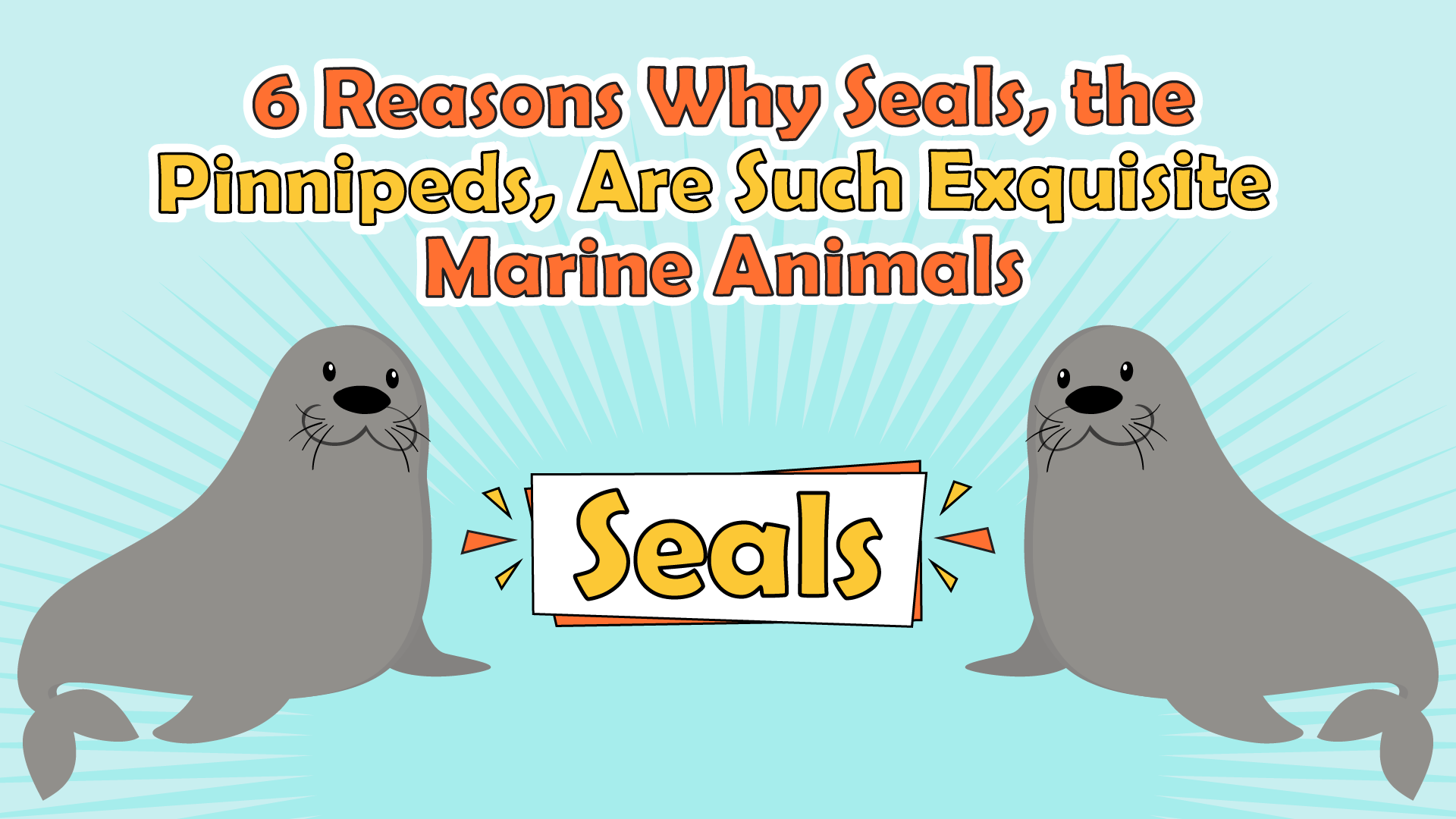 6 Reasons Why Seals, the Pinnipeds, Are Such Exquisite Marine Animals