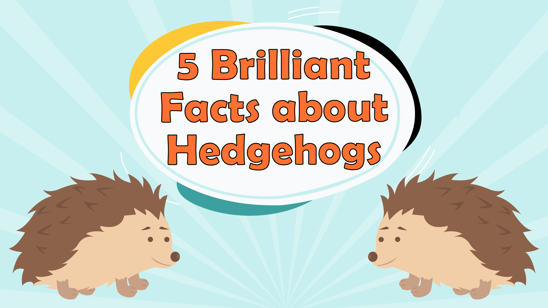 Hedgehogs Facts for Kids – 5 Brilliant Facts about Hedgehogs