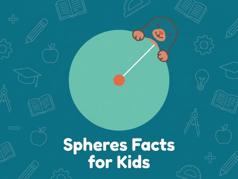 Spheres Facts for Kids: The Ultimate Guide to the Roundest Shape