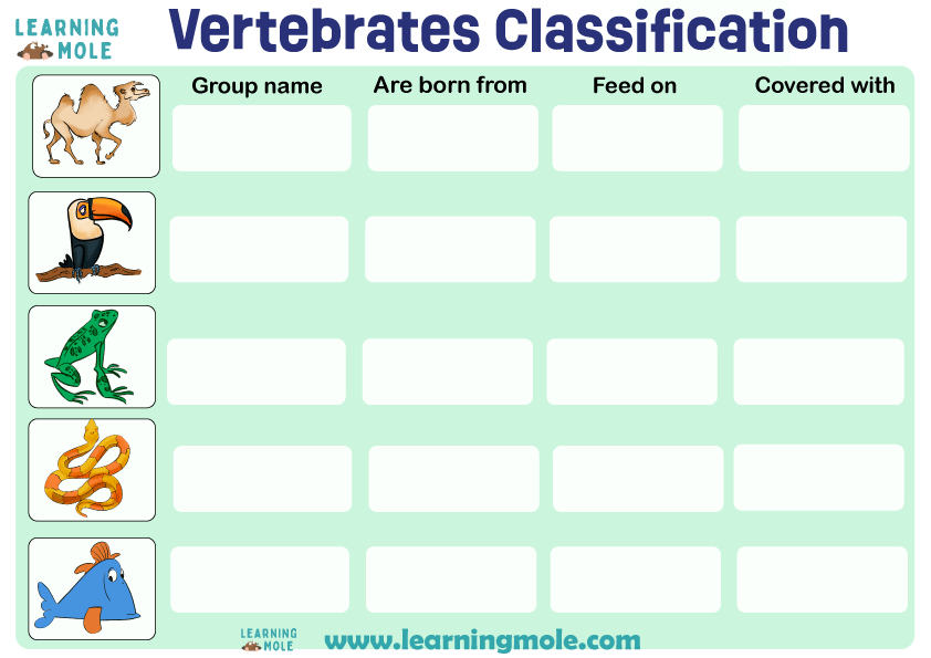Vertebrates Classification
