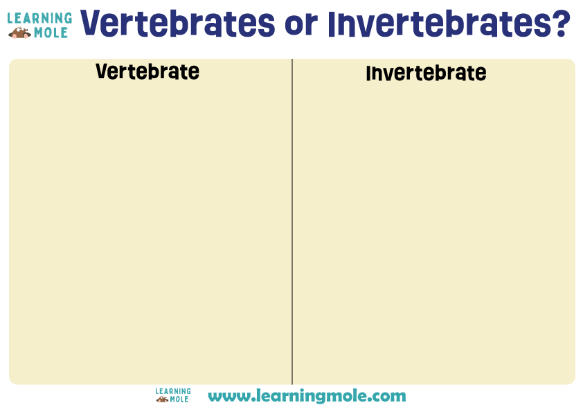 Vertebrates or Invertebrates Activity