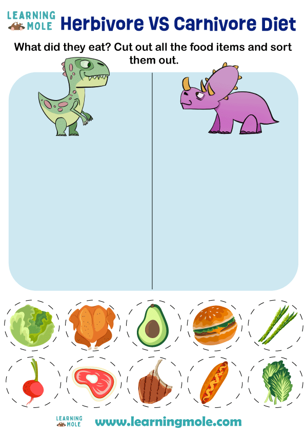 Dinosaur Diet Activity