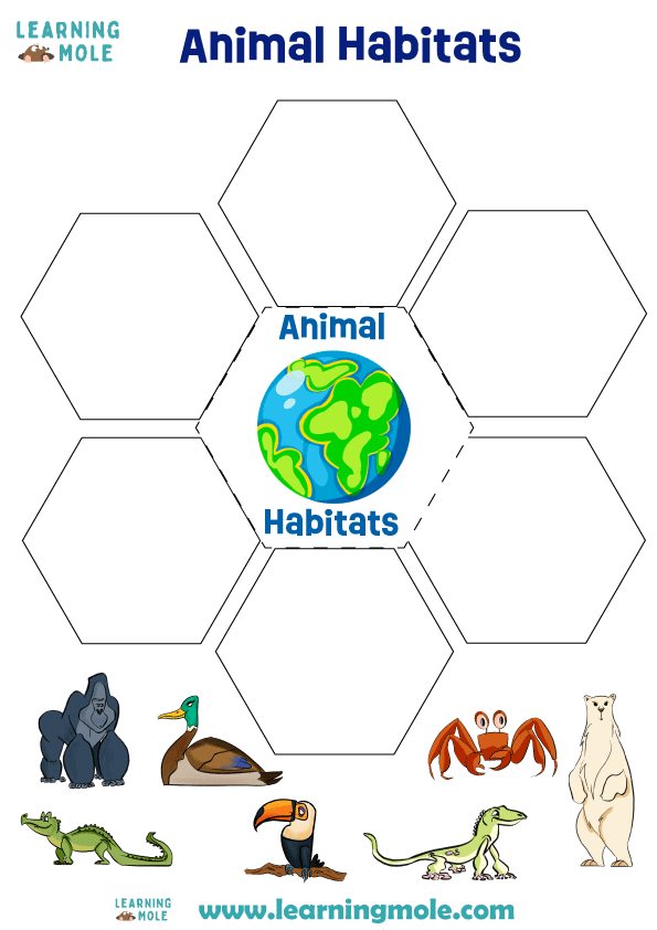 Habitats Activity