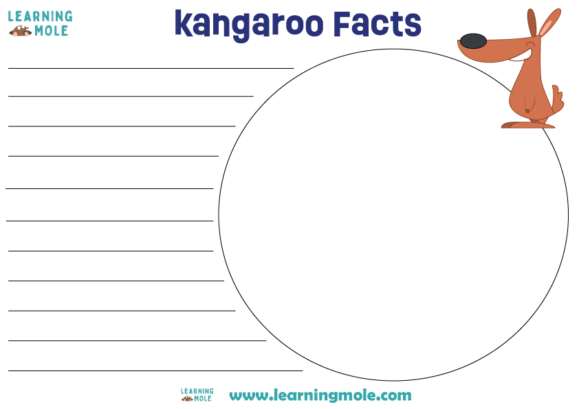 Kangaroo Facts Activity