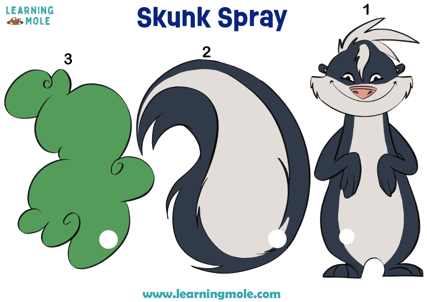 Skunk Facts Activity