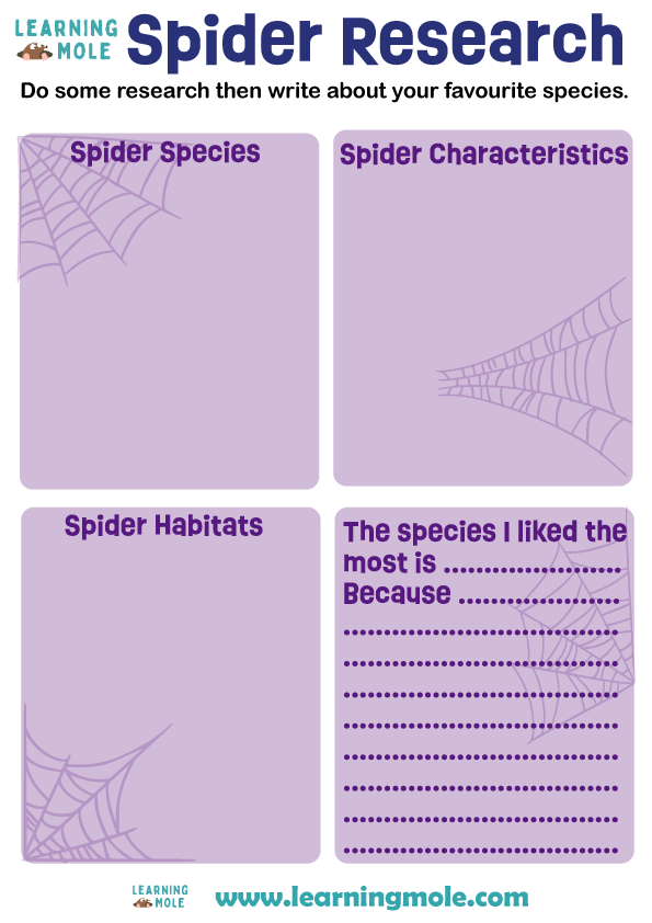 Spider Facts Activity