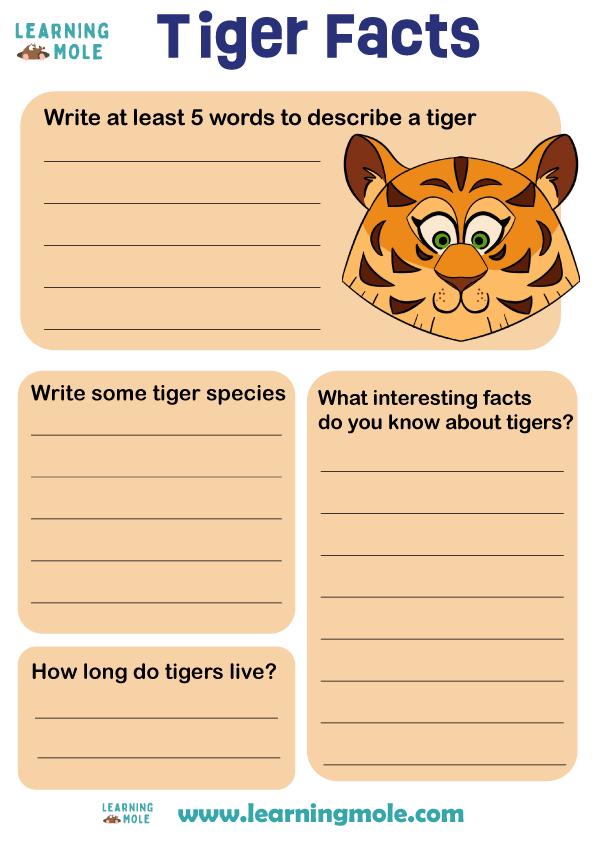 Tiger Facts Activity