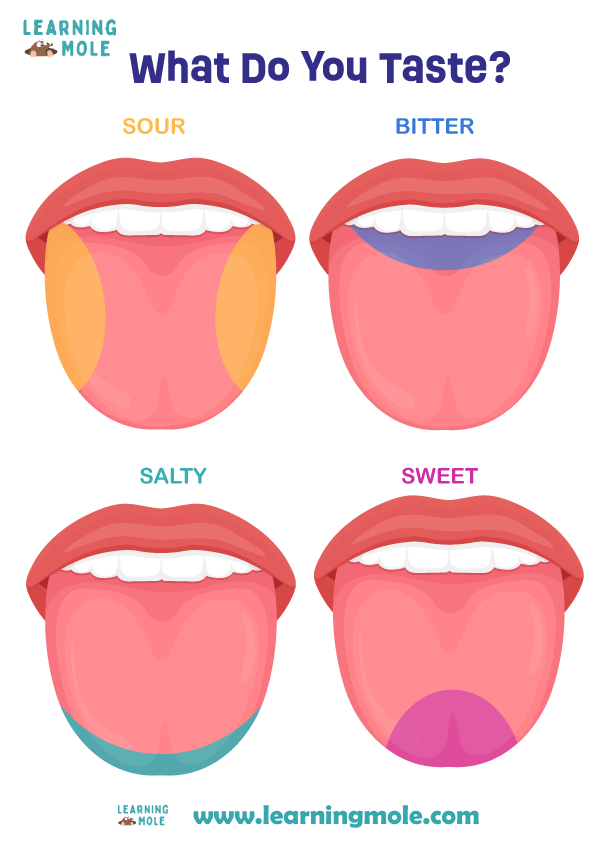 Tongue Activity