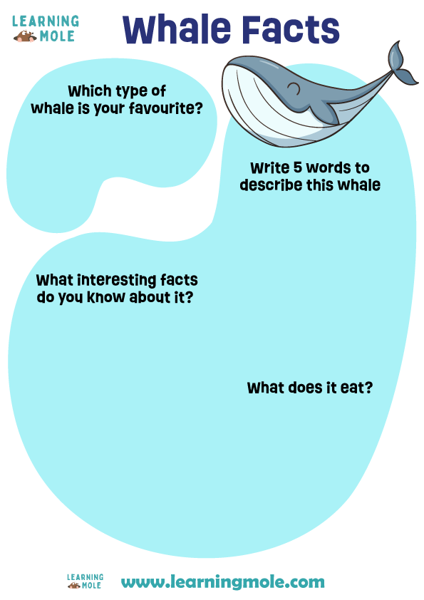 Whale Facts Activity