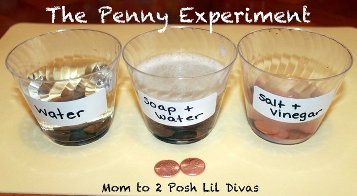 Penny experiment | Science experiments kids, Easy science experiments, Science  for kids
