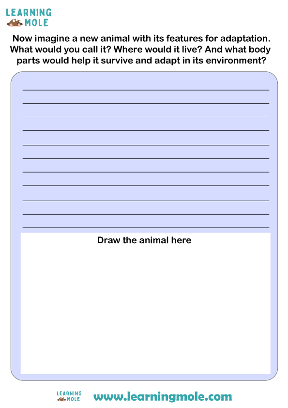 Animal Adaptation Activity
