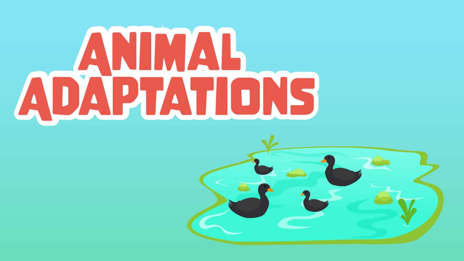 Animal Adaptation Facts for Kids – 5 Adorable Facts about