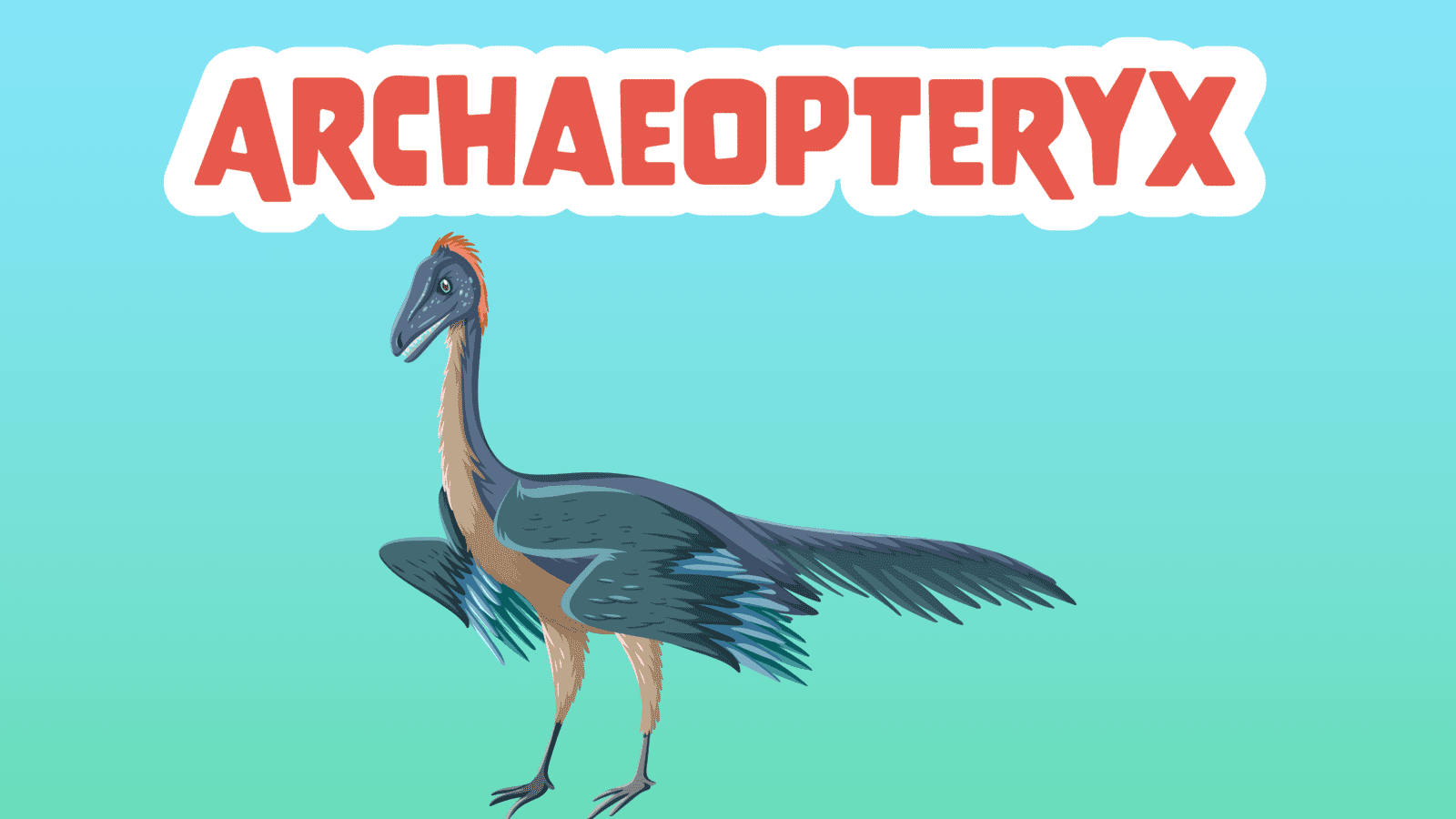 Archaeopteryx Facts for Kids – 5 Adorable Facts about Archaeopteryx