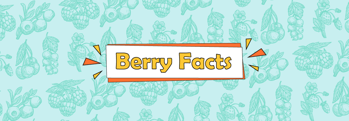 Berries: 3 Beautiful information That You Probably Don’t Know