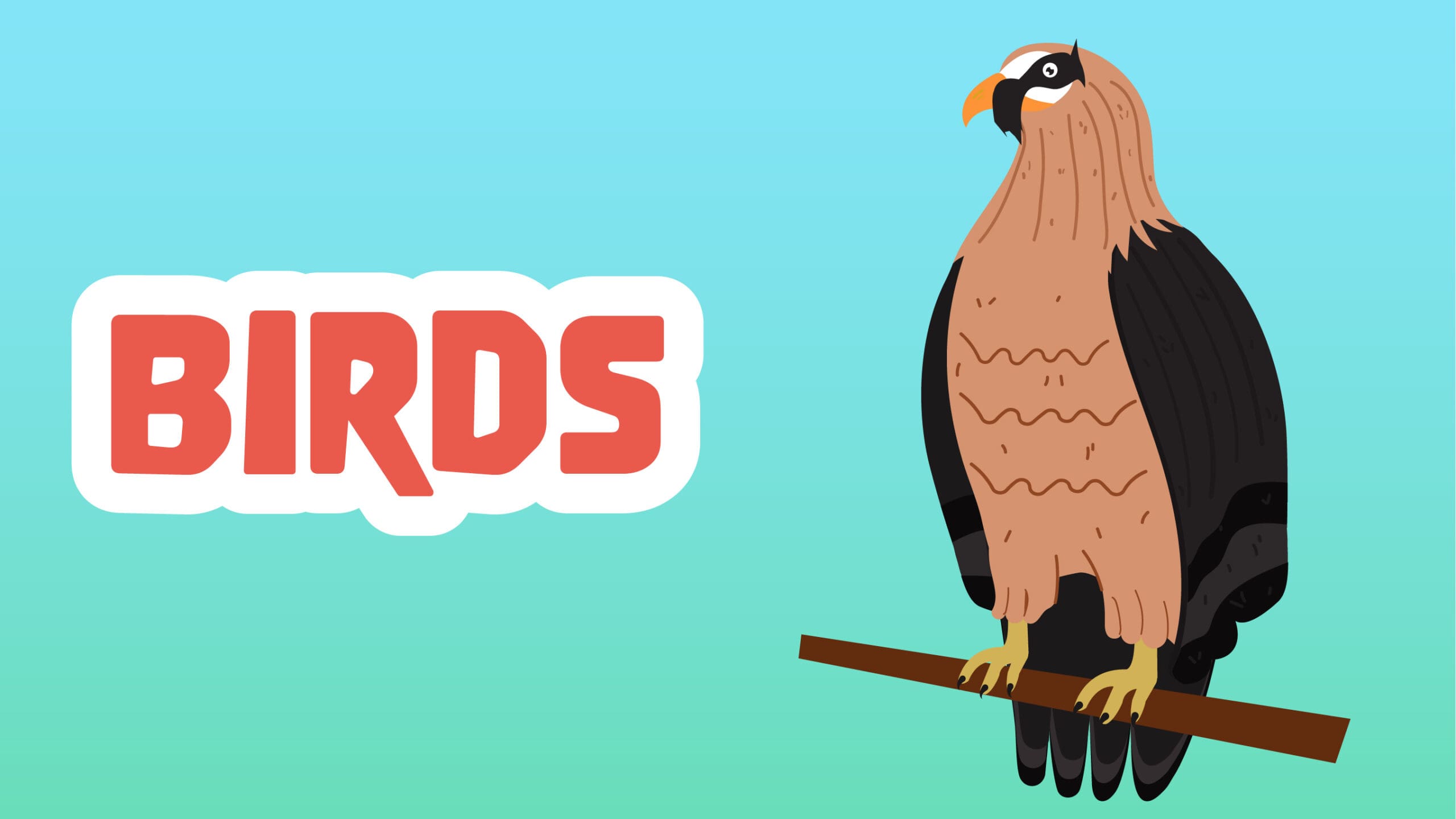 Birds Facts for Kids - 5 Brilliant Facts about Birds - LearningMole
