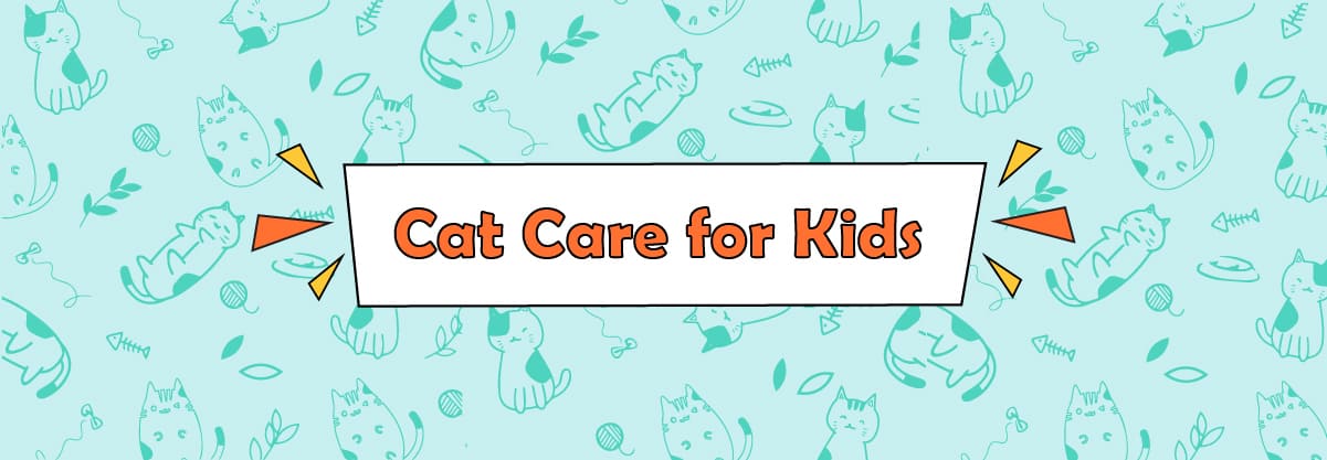 Top 6 Step By Step Guide To Ultimate Cat Care