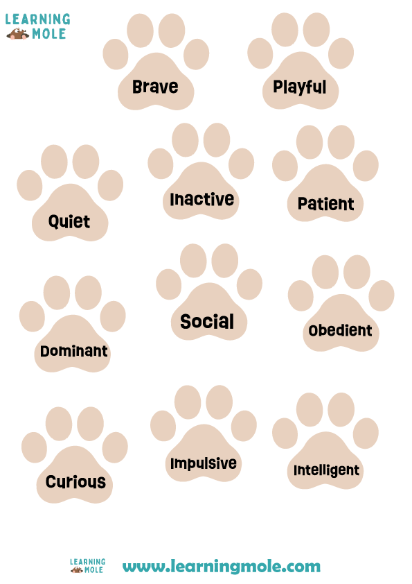 Cat Traits Activity