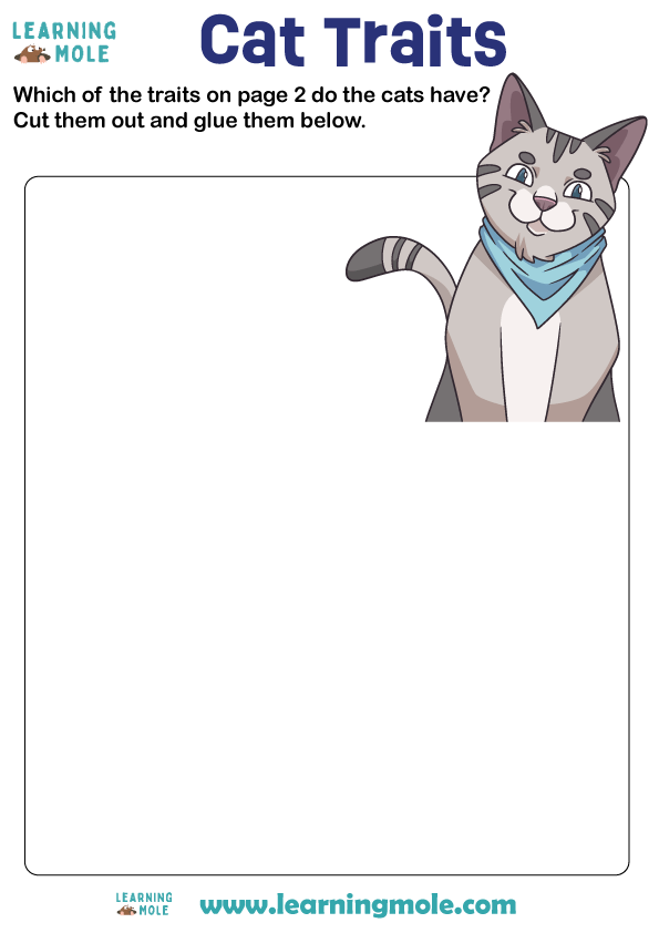 Cat Traits Activity