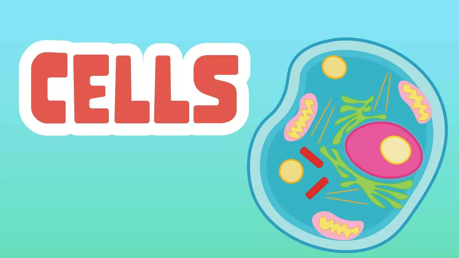 Cells Facts for Kids – 8 Interesting Facts about Cells