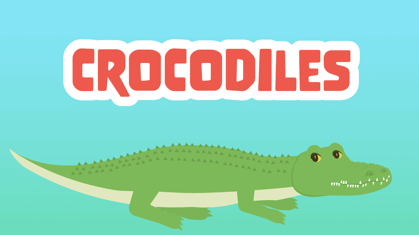 Crocodiles Facts for Kids – 5 Awesome Facts about Crocodiles