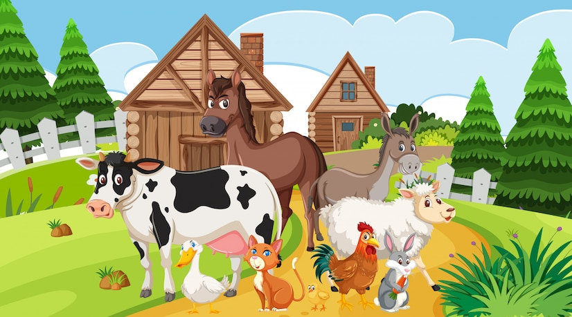 Animals in a farm