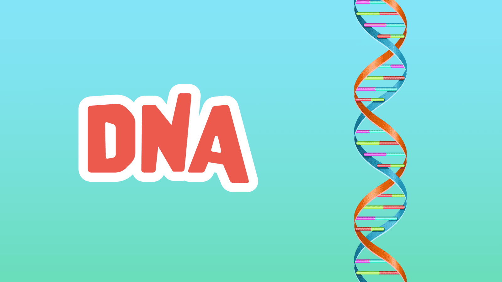 DNA Facts for Kids – 5 Delightful Facts about DNA