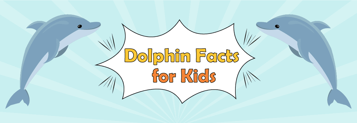 Oh My Dolphin! Learn 10 Exquisite Facts about the Most Intelligent Aquatic Animal