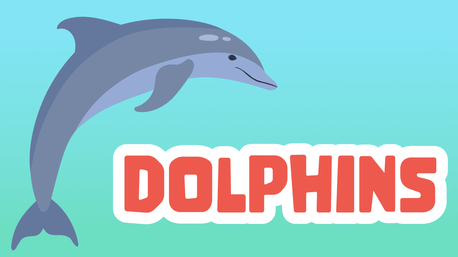 Dolphins Facts for Kids – 5 Dazzling Facts about Dolphins