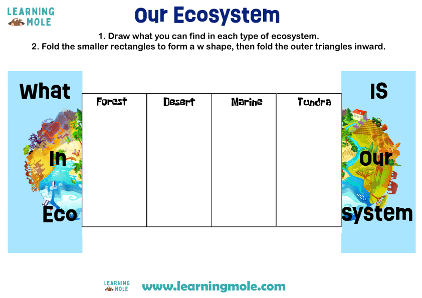 Ecosystem Activity