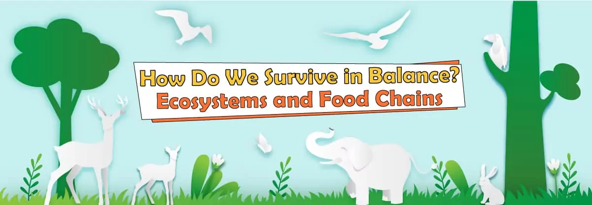 How Do We Survive in Balance? Ecosystems and Food Chains