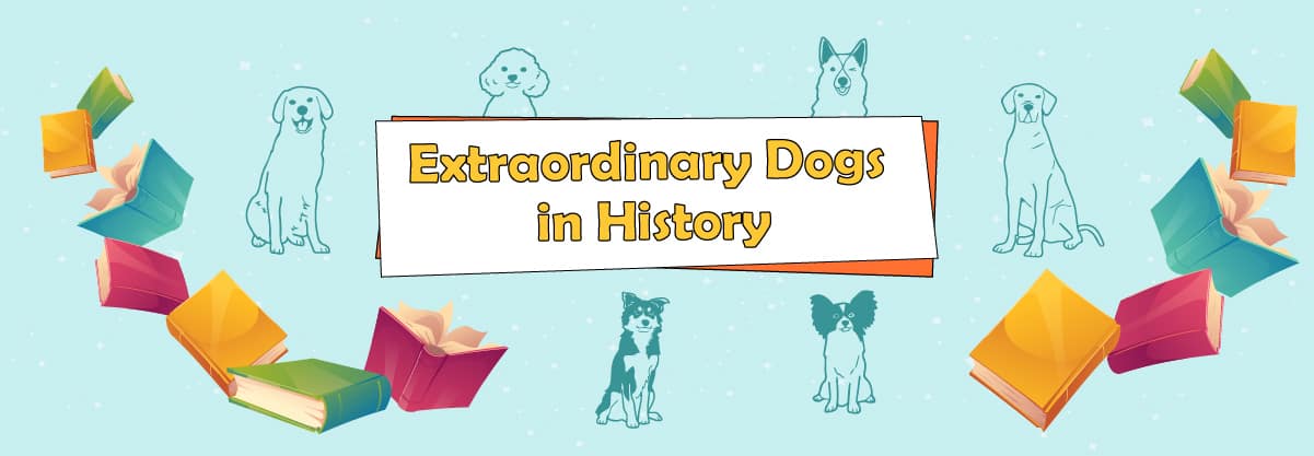 Top 10 Extraordinary Dogs In History 