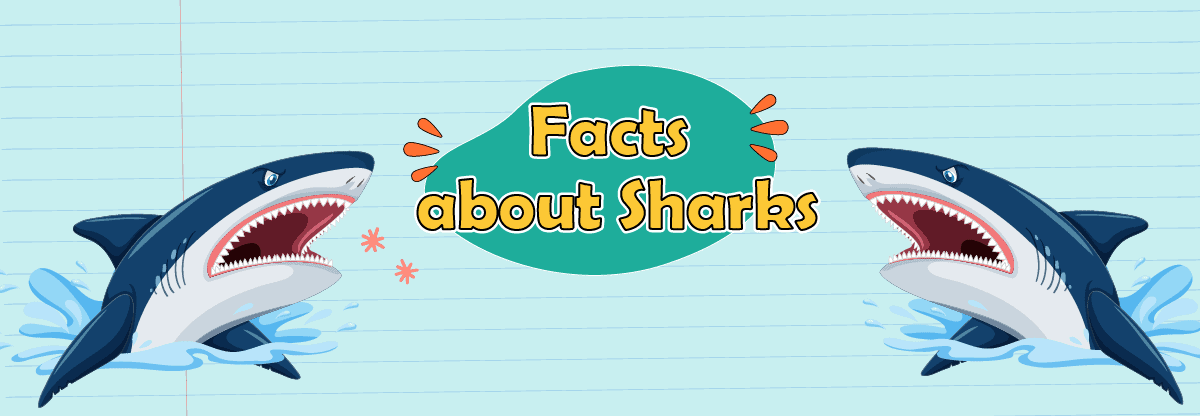 Sharks: 13 Types of Sharks and Top Amazing Facts for Kids
