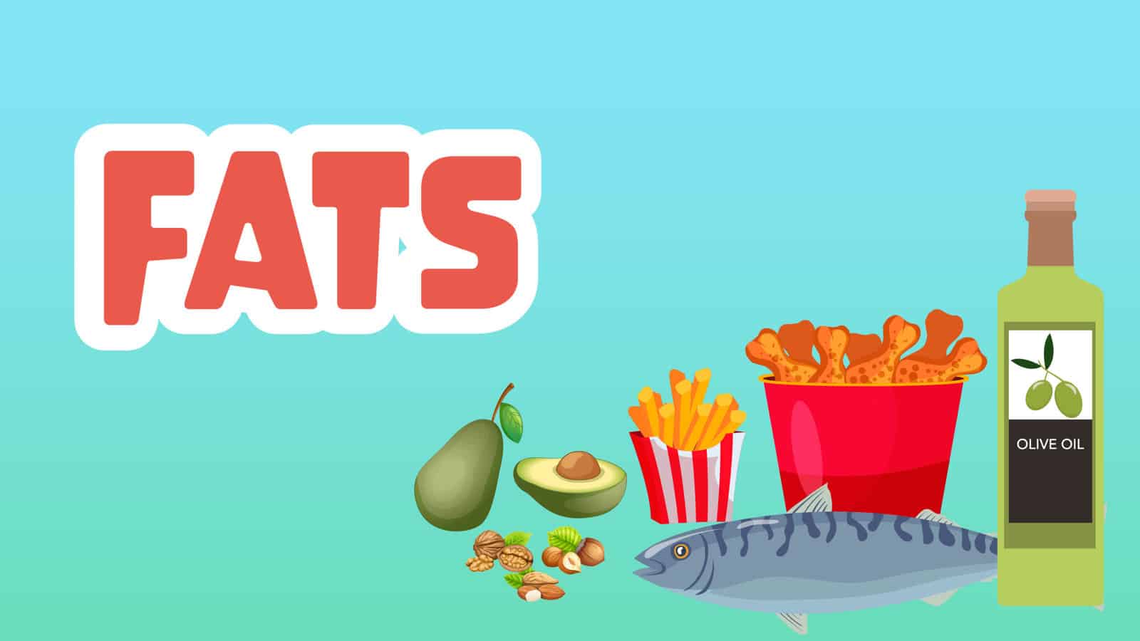 Fats Facts for Kids – 5 Focused Facts about Fats