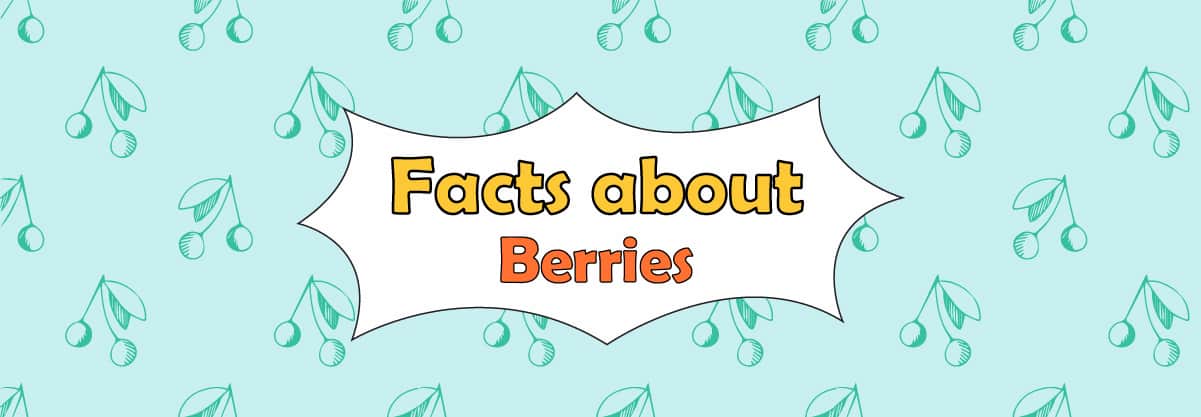Top 101 Ultimate Berries Guide