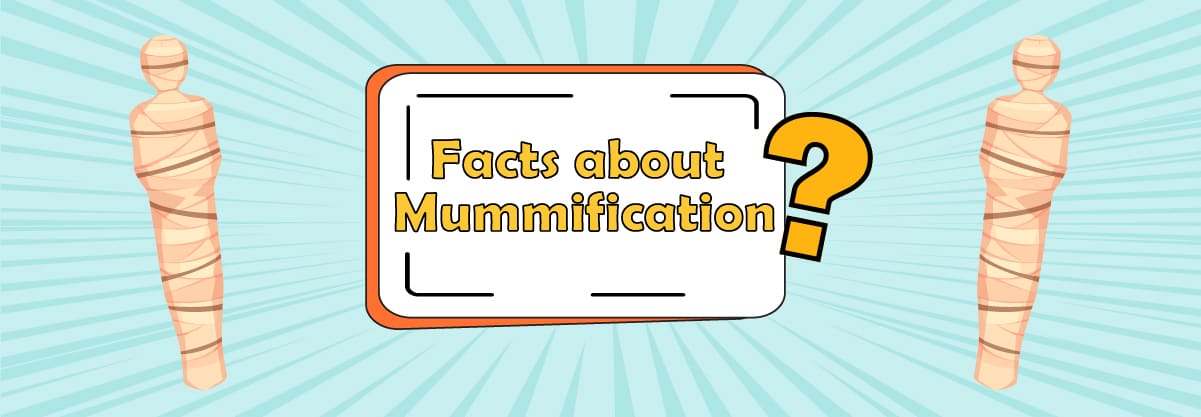 Interesting Facts about Mummification