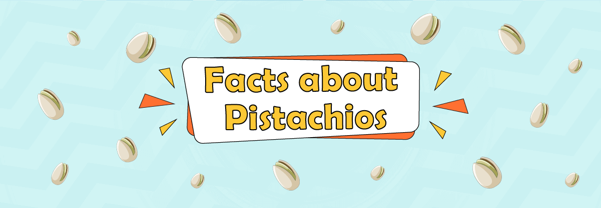 A Crunchy Pistachios Tale: 13 Interesting Facts About These Salty Munchies