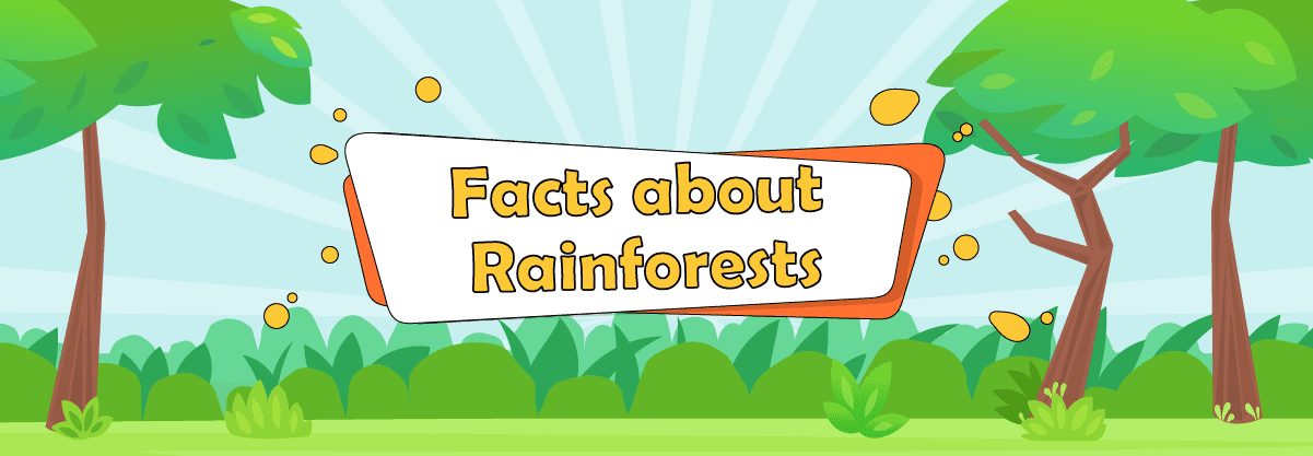 Rainforests: A Great Mysterious World
