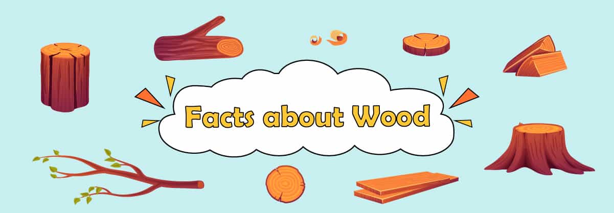Wood: 20 Astonishing Facts and Uses