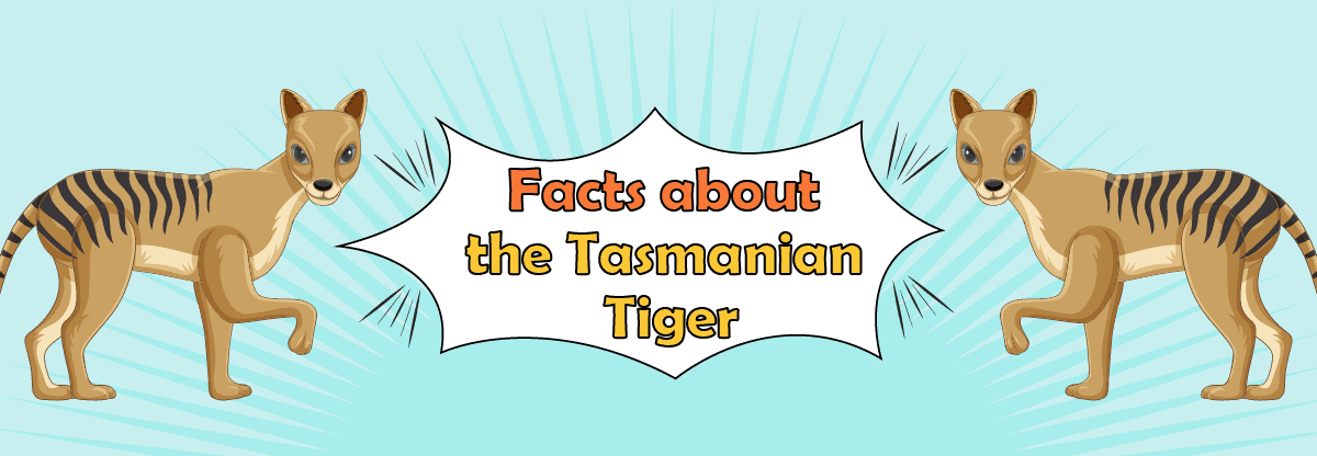 Tasmanian Tiger: The Extinct Dog-Like Tiger That Was neither a Dog nor a Tiger