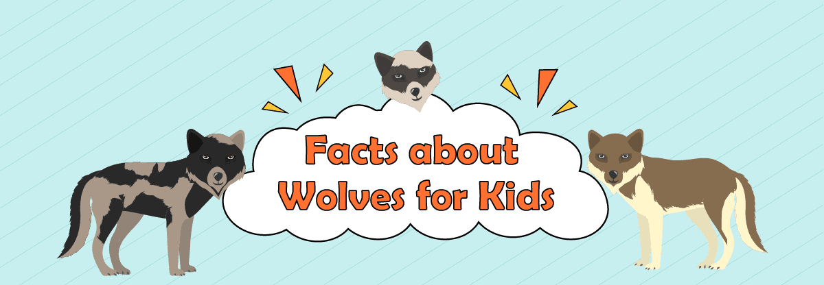 Wolves: Amazing Facts for Kids about the Real Night Howlers