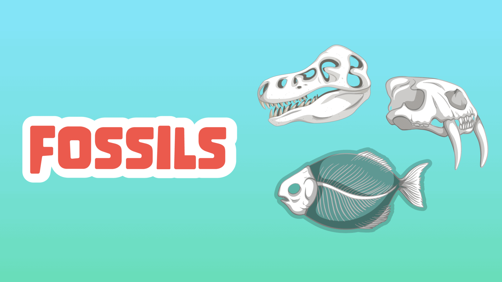 Fossils Facts for Kids – 5 Fascinating Facts about Fossils