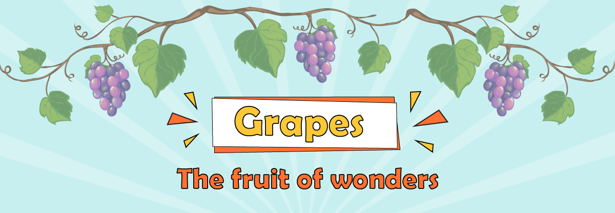 Grapes: The Fruit of Wonders
