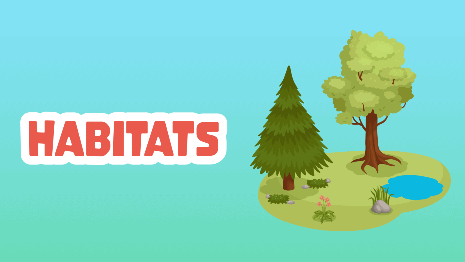 Habitats Facts for Kids – 5 Helpful Facts about Habitats
