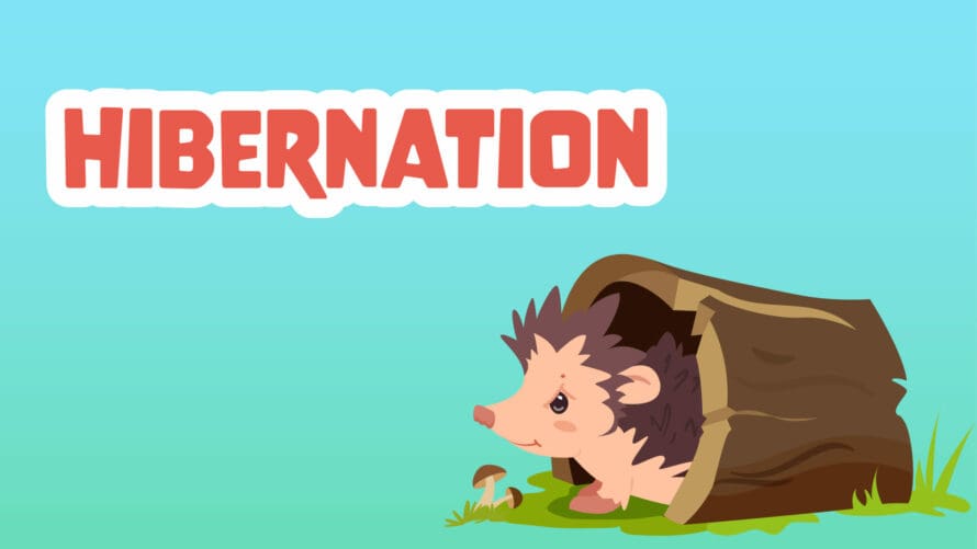Hibernation Learningmole