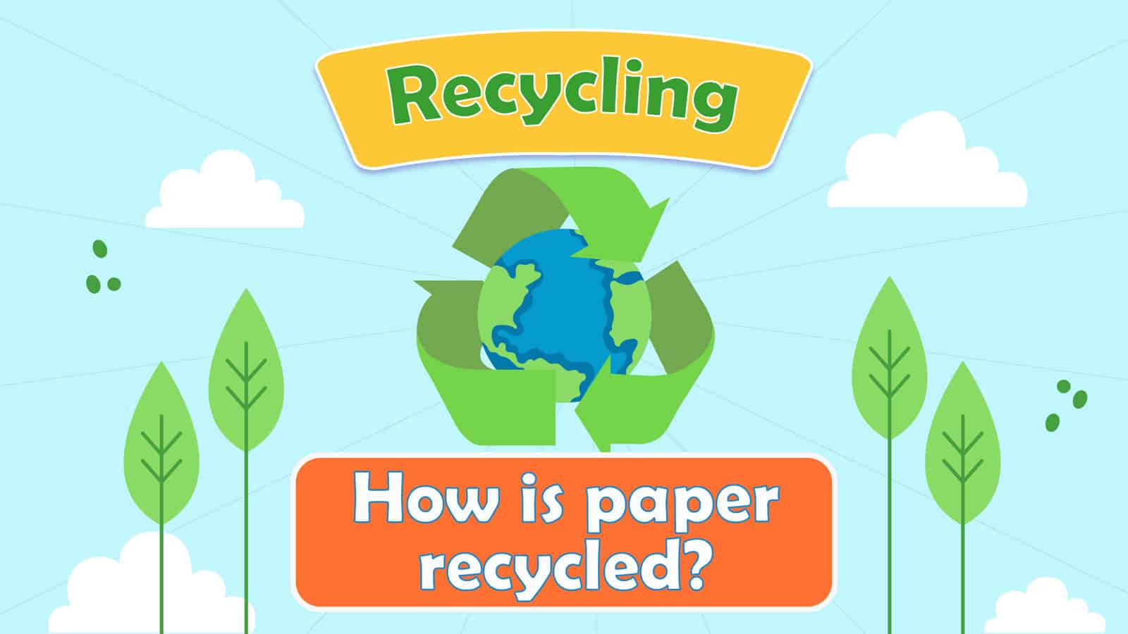 How is Paper Recycled?