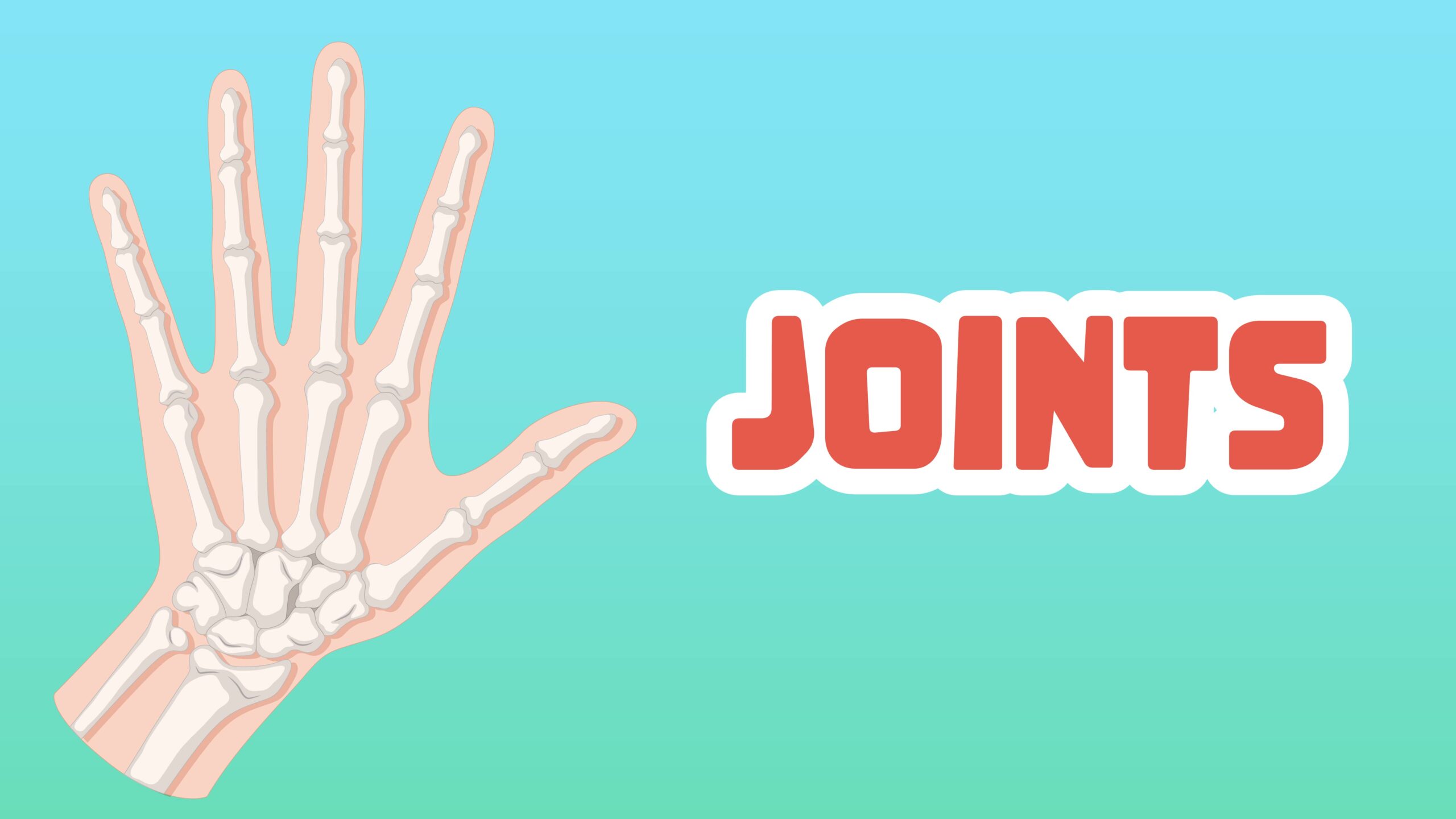 Joints Facts for Kids – 5 Facts about Joints