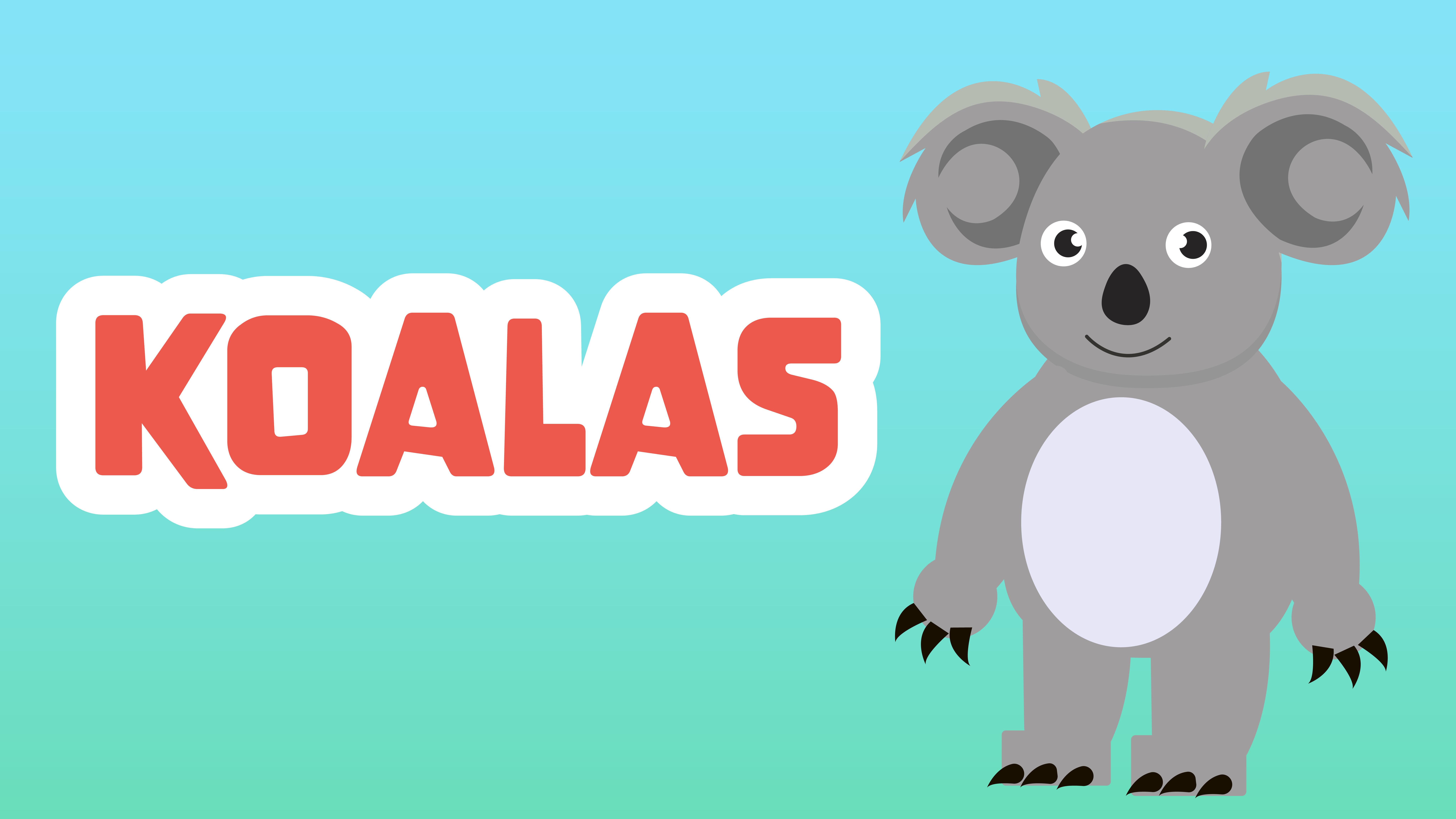 Koalas Facts for Kids – 5 Cool Facts about Koalas