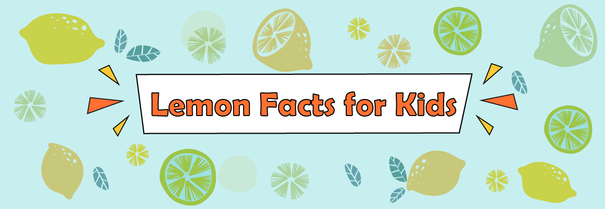 Lemon: 22 Great Uses and Benefits